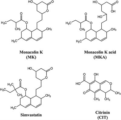 Risk Assessment of RYR Food Supplements: Perception vs. Reality